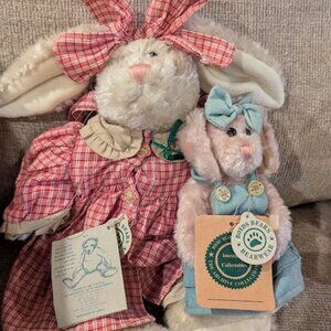 fun rabbits looking for a home